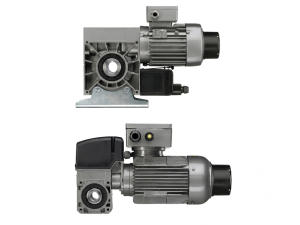ATEX Industrial Motors