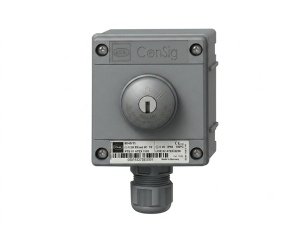 ATEX Key Switch Open-Close