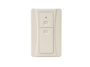 DorGO Transmitter Wall Mount Switch 2CH